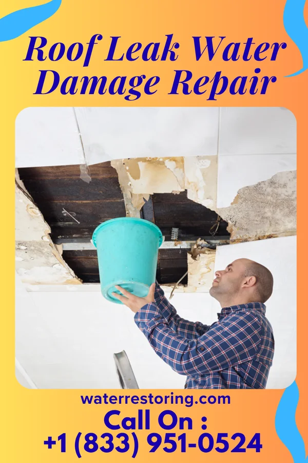 Roof Leak Water Damage Repair in Lovelady, TX